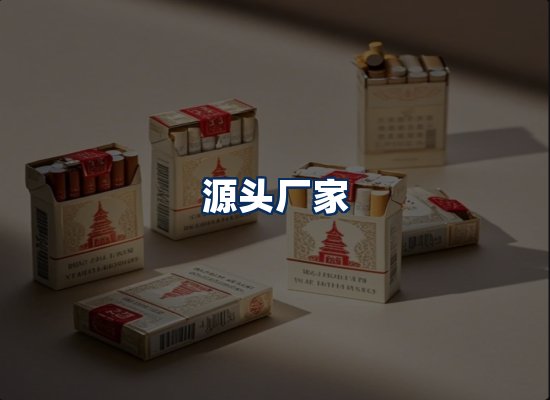 专业团队办公环境